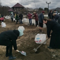 Настоятель храма в посёлке Корфовский принял участие в высадке клёнов