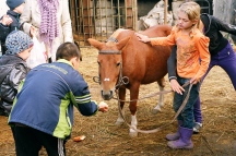 Поездка воспитанников интерната для умственно отсталых детей п.Березовка на конный двор. 5 октября 2012 год