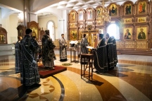 IMG_9984.jpg
