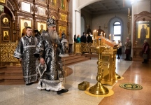 IMG_4154.jpg