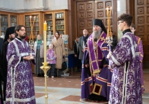 IMG_4645.jpg