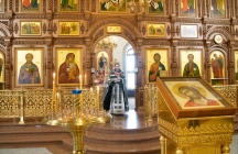 IMG_7337.jpg