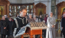 DSC04794.jpg
