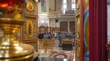 DSC05042.jpg