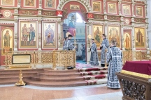 IMG_7774.jpg